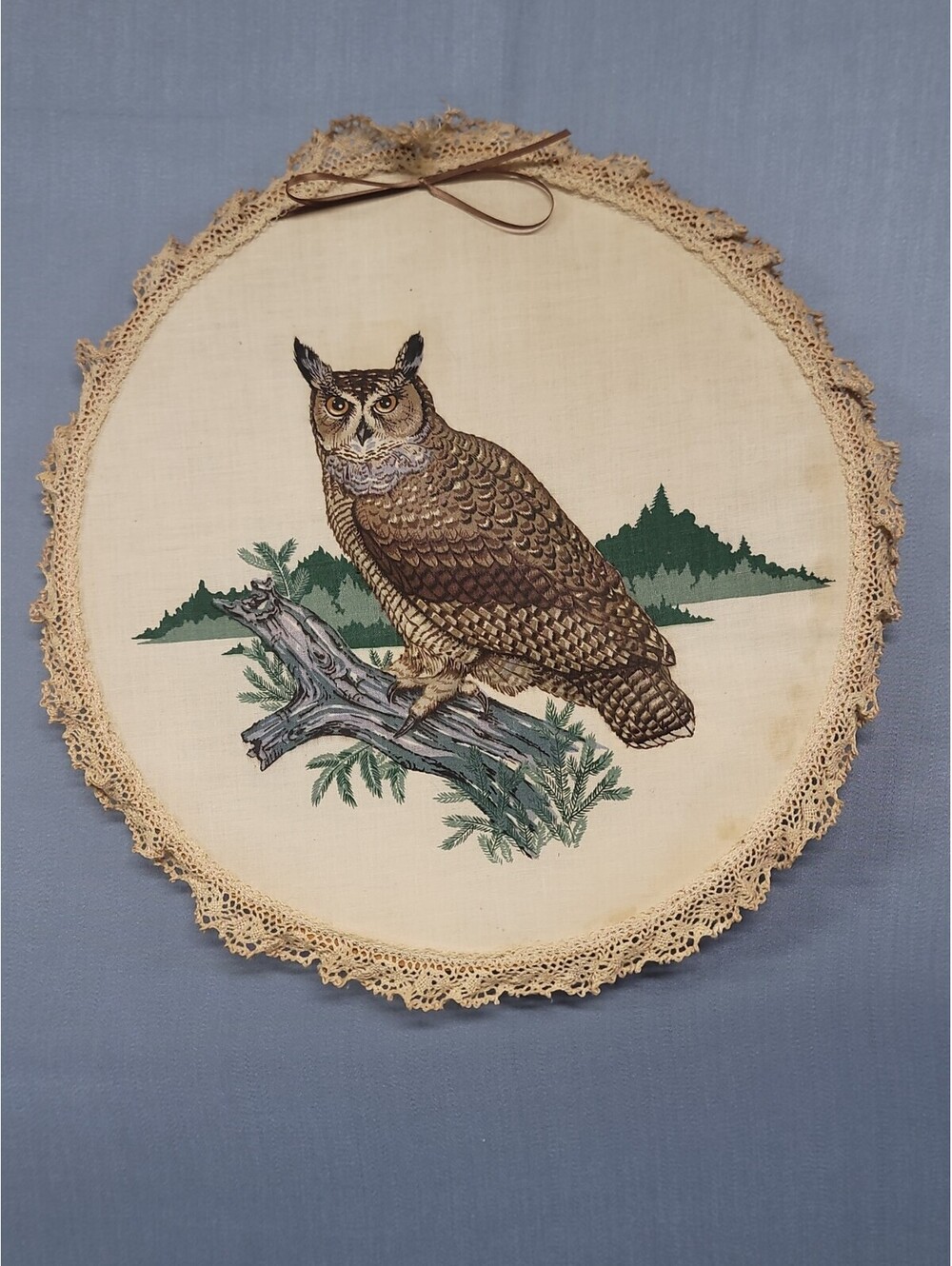 Vintage Owl Embroidery Wall Hanging Wood Hoop Eyelet Lace Ruffle Framed Decor